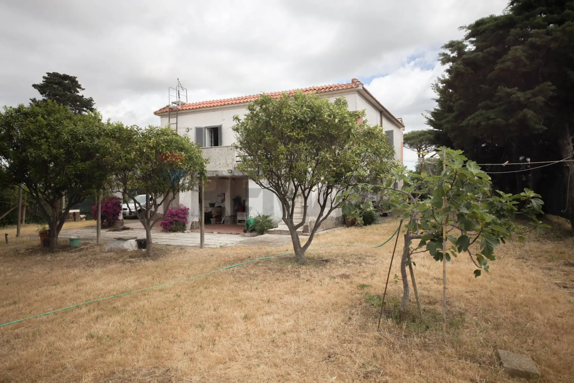 Vendita Casa Indipendente Nettuno, RM (41951002-79)