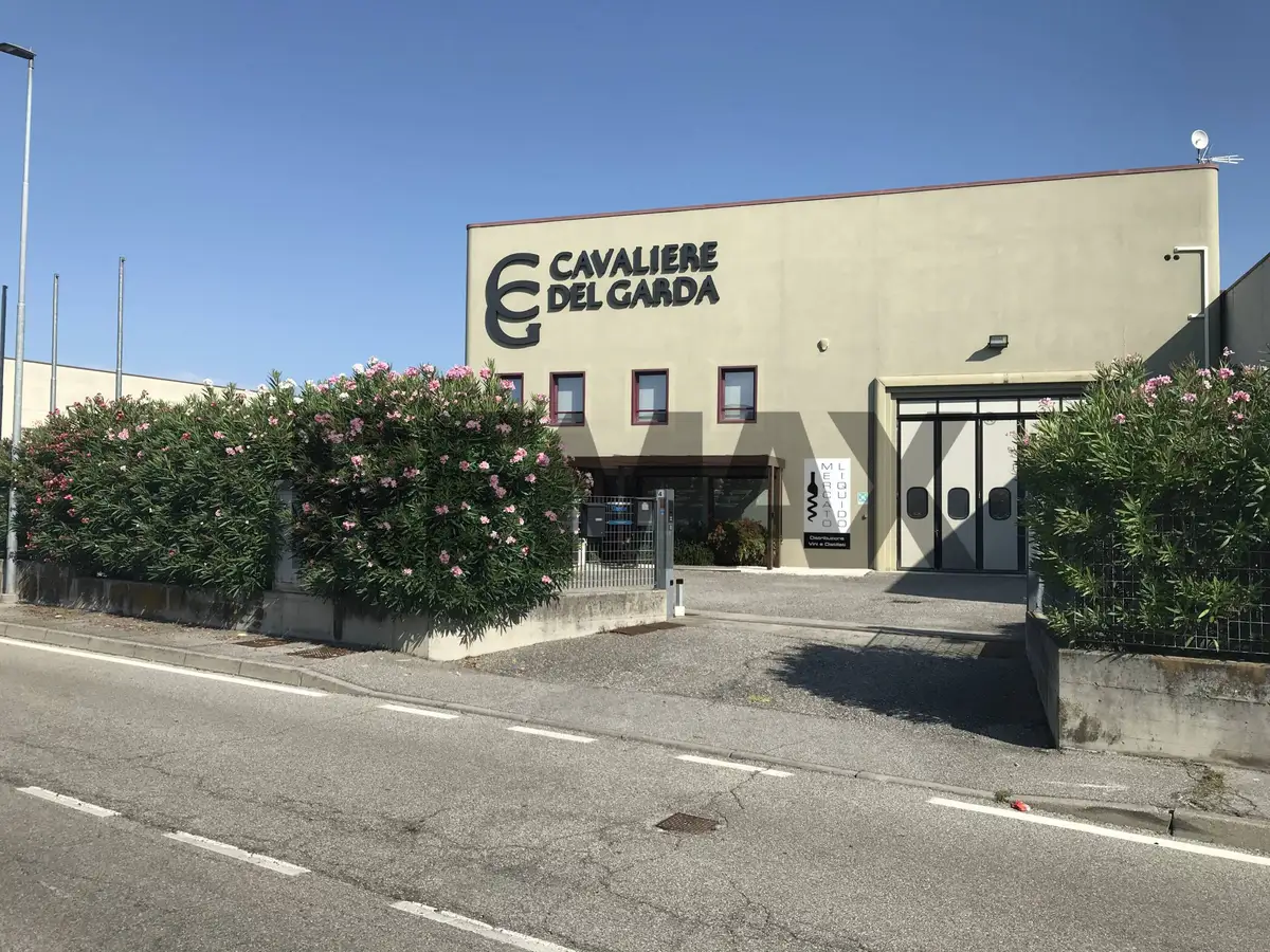 Vendita Capannone Industriale Desenzano del Garda, BS (39181002-549)