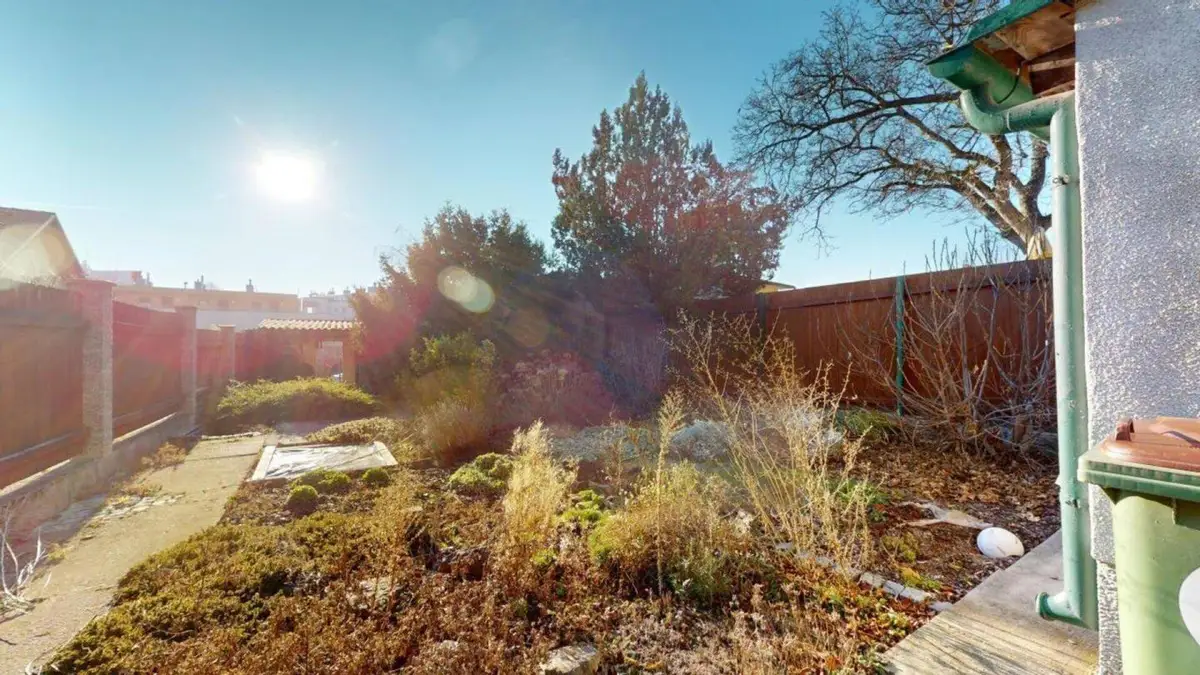Sonnige Gartenecke mit verschiedenen Pflanzen und einem Holzzaun im Hintergrund unter blauem Himmel.