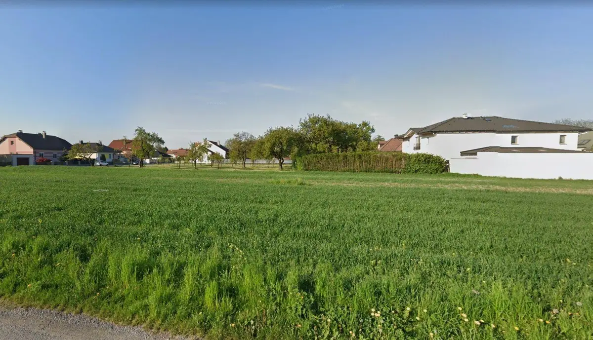 Grüne Wiese mit einer Hecke und modernen Häusern in der Ferne unter blauem Himmel.