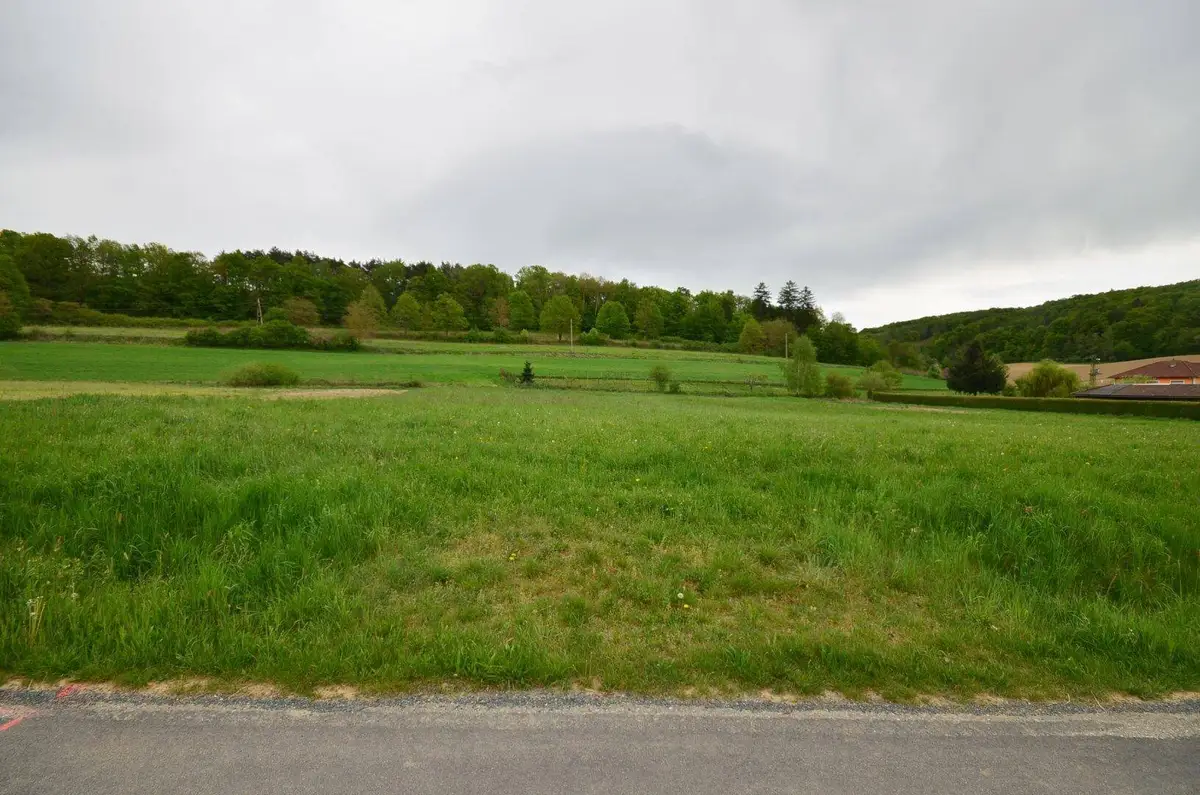 Weitläufiges grünes Feld mit einer Straße im Vordergrund und bewaldeten Hügeln im Hintergrund.