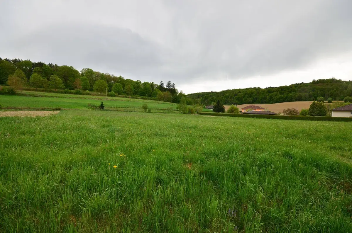 Großes grünes Feld mit vereinzelten Häusern und bewaldeten Hügeln unter bewölktem Himmel.