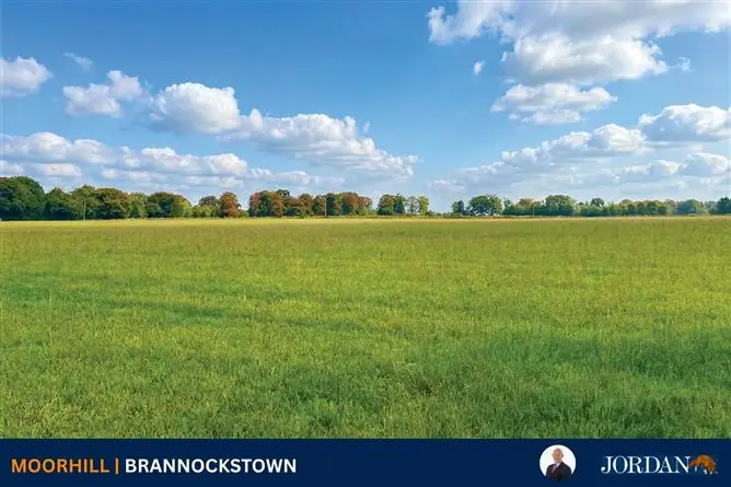 c. 16 Acres, Moorhill