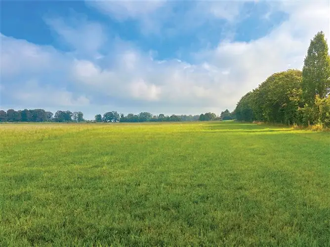c. 16 Acres, Moorhill