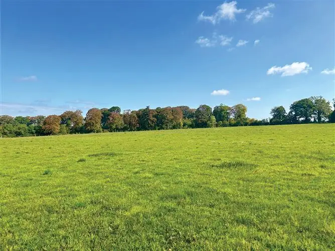 c. 16 Acres, Moorhill