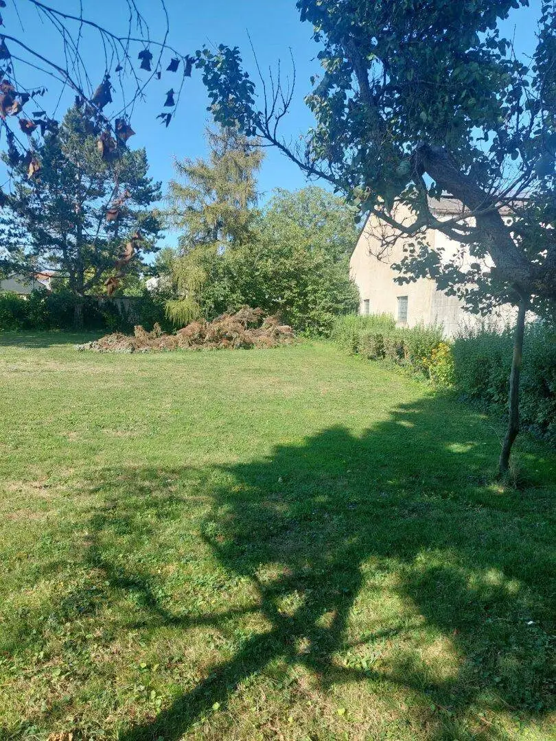 Weitläufige Rasenfläche mit altem Baumbestand und einem Gebäude im Hintergrund, bei strahlendem Sonnenschein.