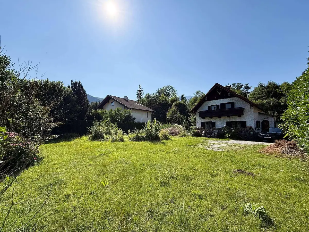 Sonniger Blick auf ein grünes Grundstück mit zwei Häusern im Hintergrund und klarem Himmel.