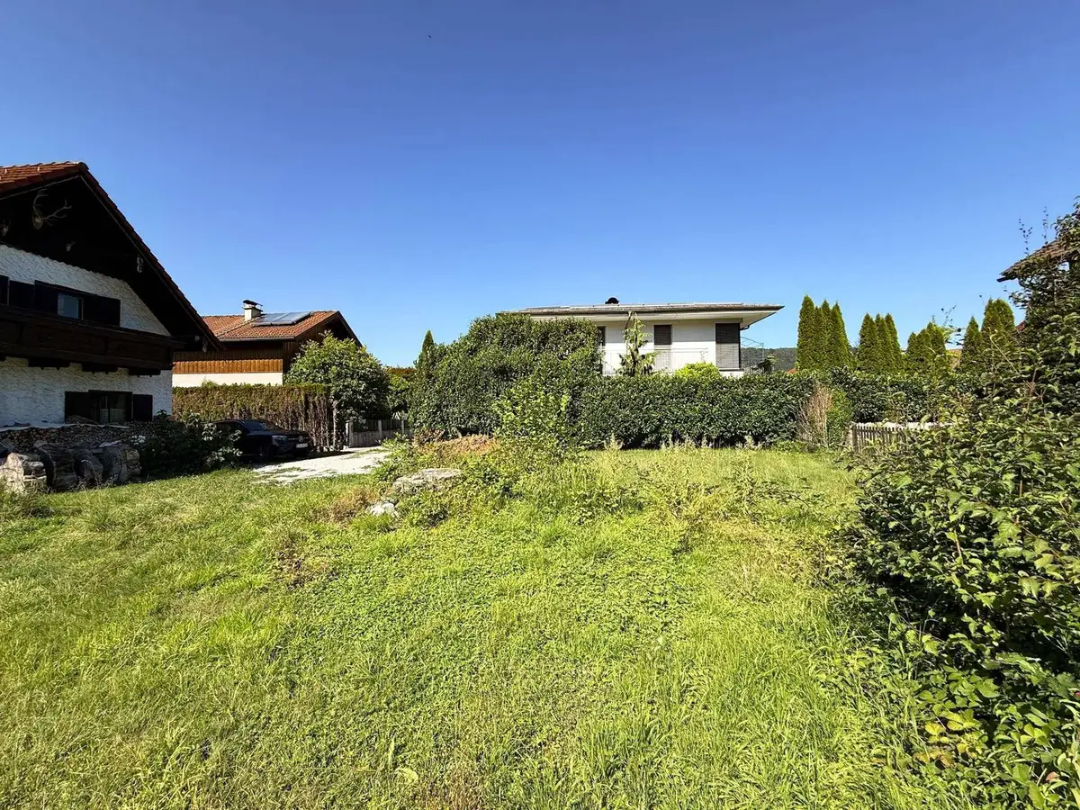 Großes, sonniges Grundstück mit Wiese und Hecken, umgeben von weiteren Wohnhäusern.