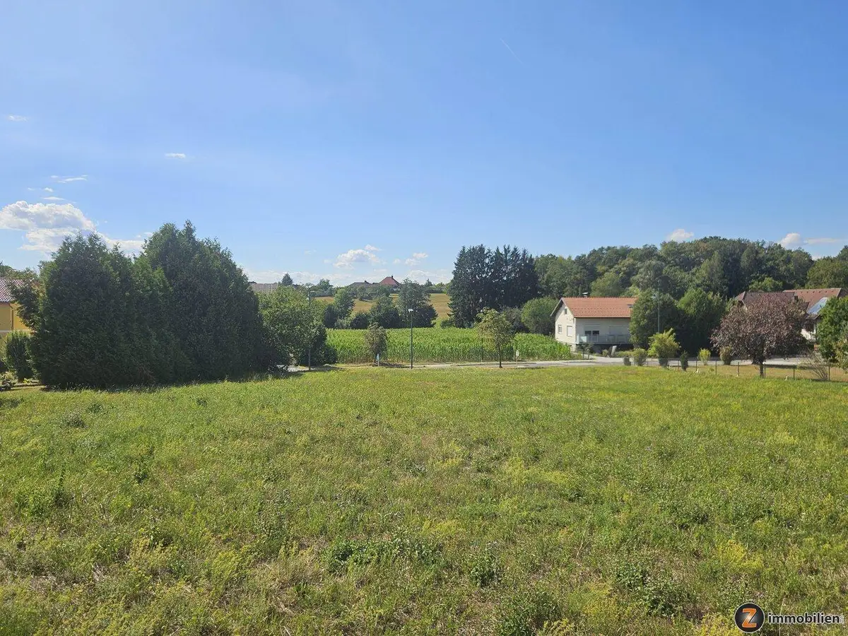 Offenes grünes Feld mit Blick auf die ländliche Umgebung und angrenzende Wohnhäuser.
