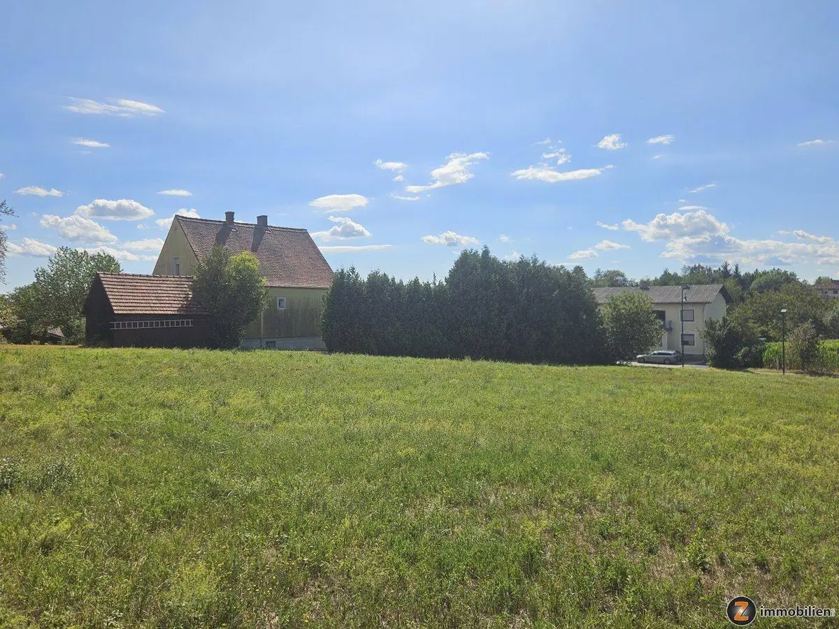 Grünes Grundstück mit Blick auf ein traditionelles Haus und dichte Bäume unter blauem Himmel.