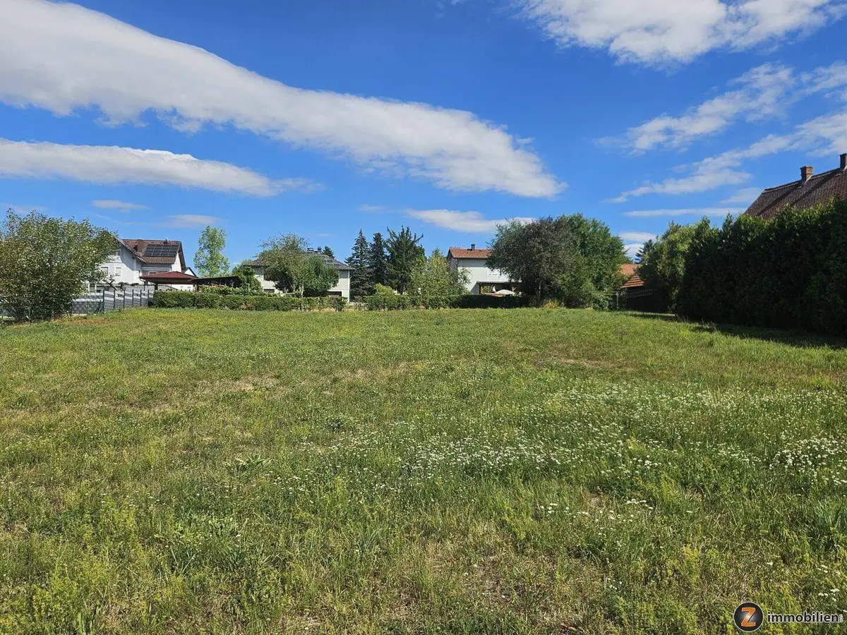 Große grüne Wiese mit umliegenden Wohnhäusern und Bäumen unter einem klaren blauen Himmel.