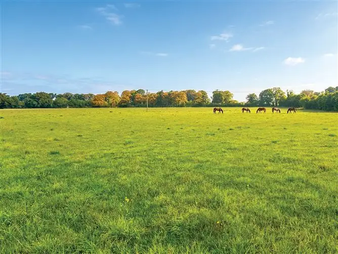 c. 32 Acres, Moorhill