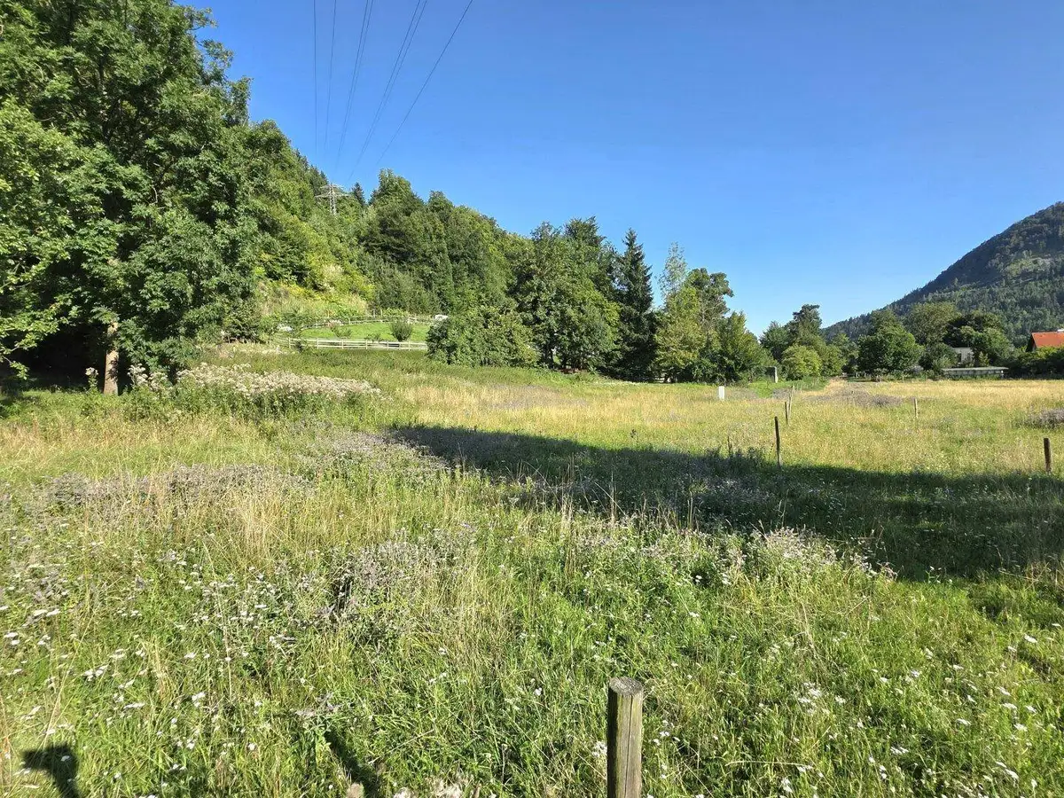 Сельская жизнь с множеством солнечных дней!
