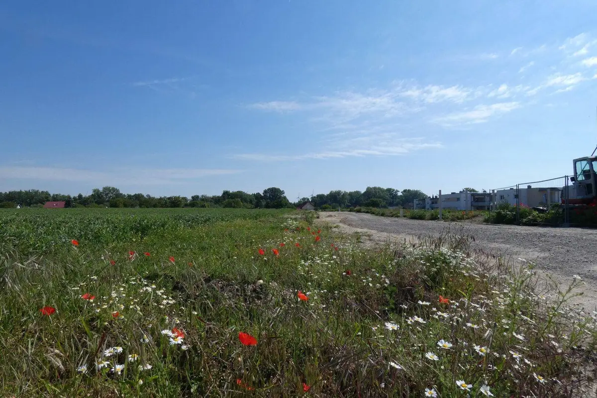 Blick über grüne Felder und einen Schotterweg mit Gebäuden in der Ferne unter blauem Himmel.